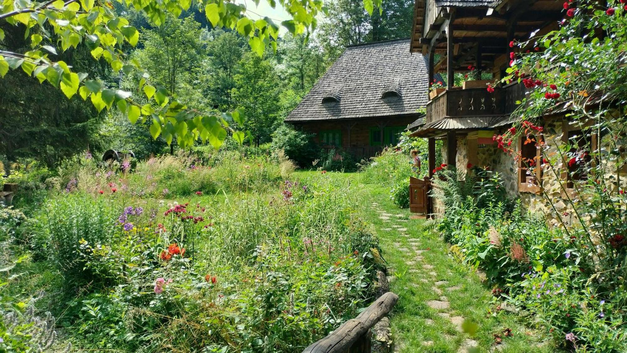 Maramuresul Stravechi Budfalva Kültér fotó